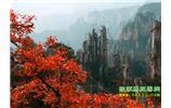 春節(jié)期間：張家界、天子山、金鞭溪自駕車精華精品游