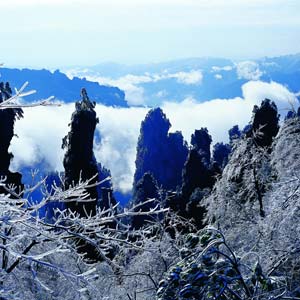 LD線：張家界、天子山、楊家界、猛洞河漂流純玩四日游