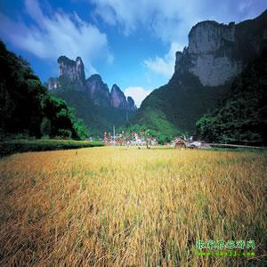 張家界往返純玩散拼：矮寨大橋、德夯苗寨、鳳凰古城、芙蓉鎮(zhèn)二日游