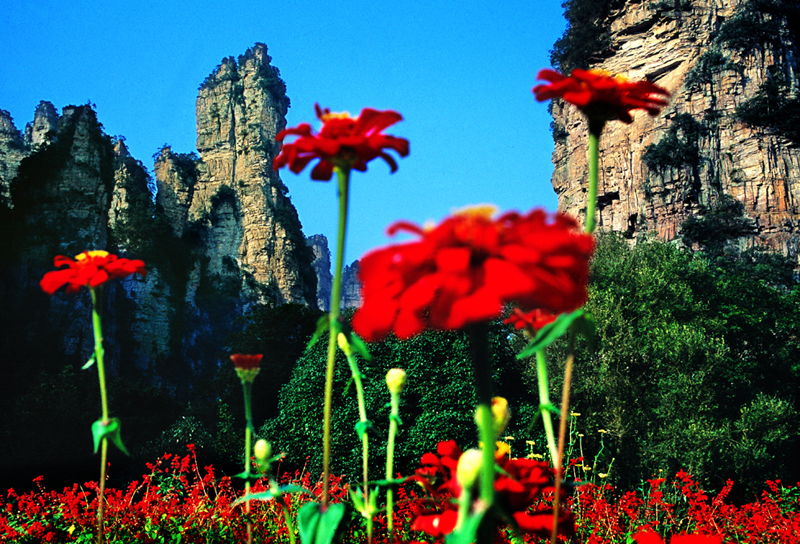 LF線：張家界國家森林公園、猛洞河漂流、鳳凰古城純玩自助五日游